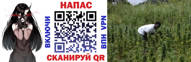 Конопля марихуана  сколько стоит  Карпинск 